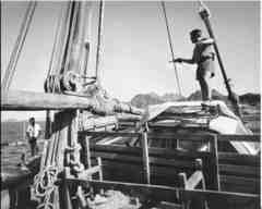 ���� ������ ��� ��� ����